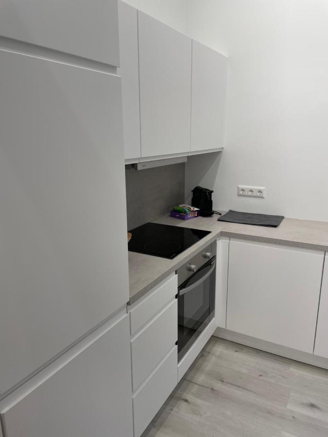 100M2 Apartment Naehe 1010 Wien المظهر الخارجي الصورة